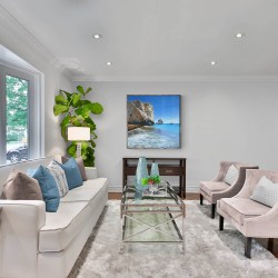 Traditional_style_lounge_with_large_corner_plant (1)